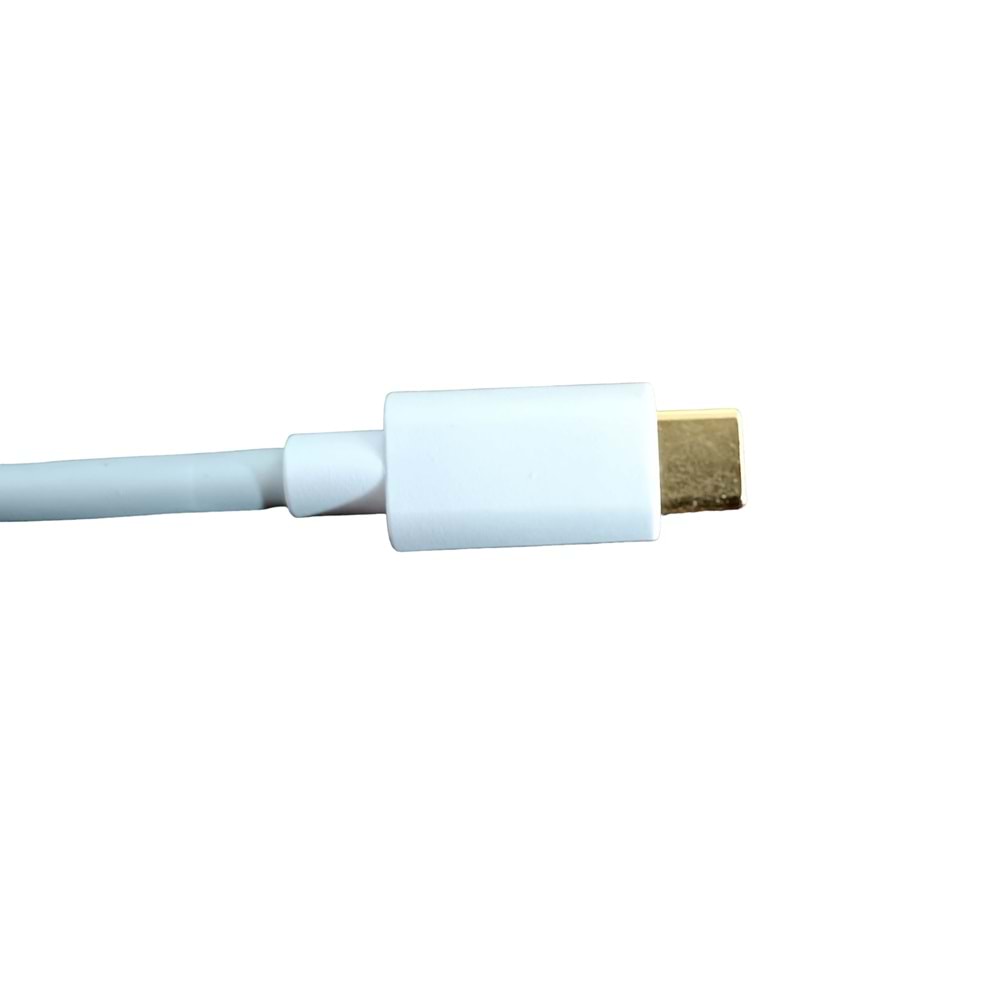 PDAteknoloji TYPE-C to USB adapter MICRO to USB Adapter Altın Uçlu OTG-C3